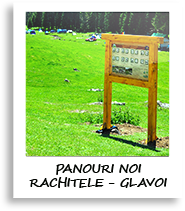 Panouri Glavoi - Rachitele